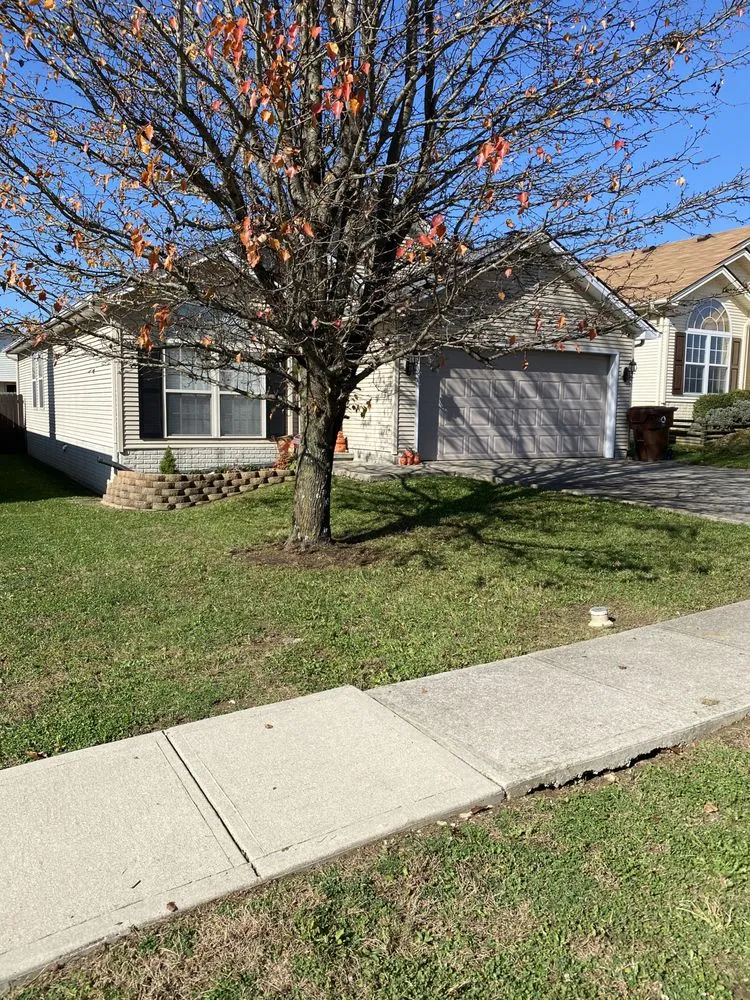 Top-rated residential landscaping near you in Lexington, KY by Platinum Lawns