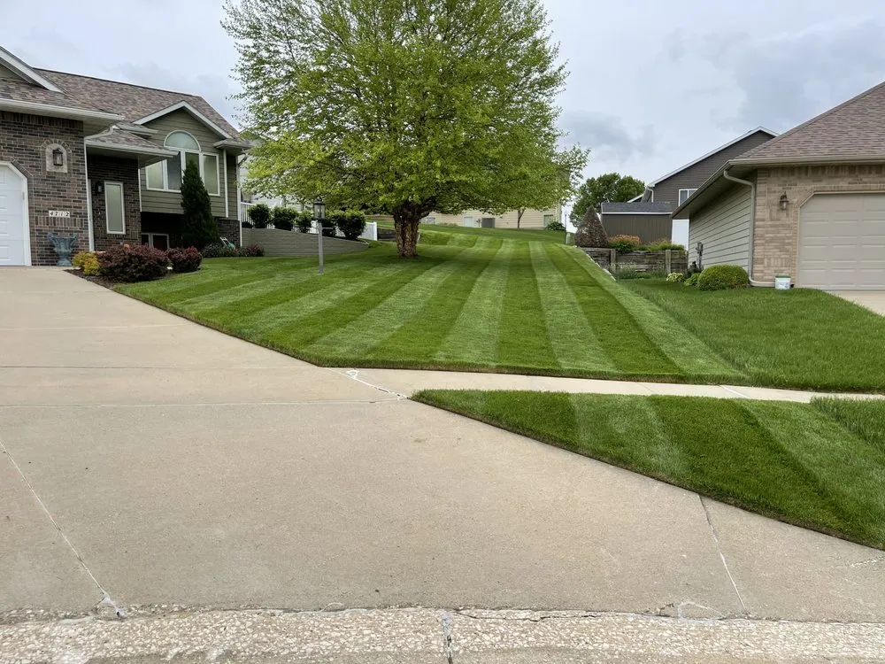 Professional yard cleanup service in Sioux City, IA by Platinum LawnScapes