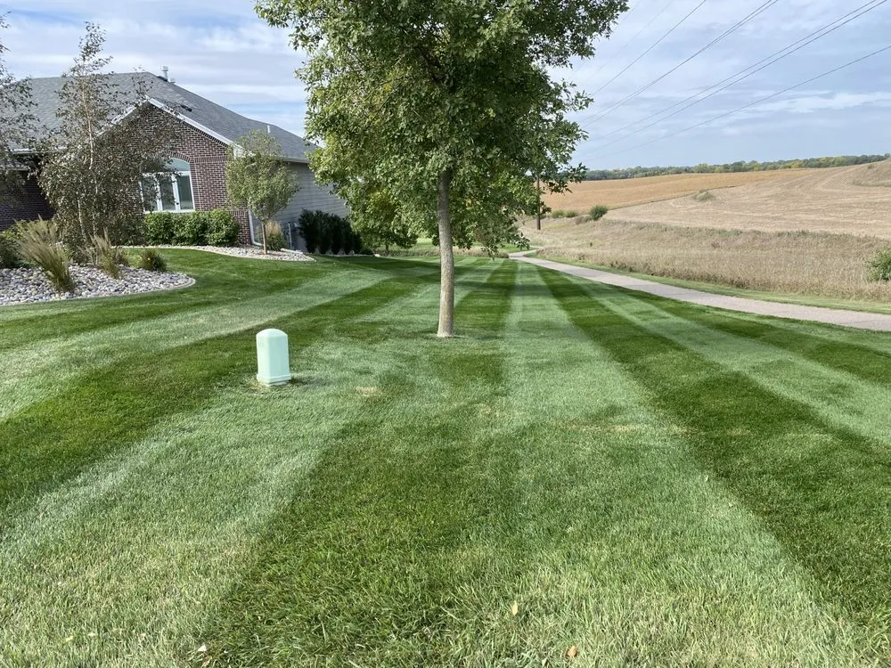 Trusted yard cleanup service for beautiful yards across Sioux City, IA - Platinum LawnScapes