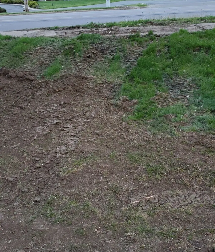 Trusted lawn mowing service experts serving Lenexa, KS - Platinum Outdoor Concepts