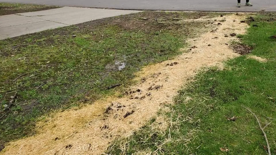 Reliable outdoor landscaping for year-round maintenance across Lenexa, KS - Platinum Outdoor Concepts