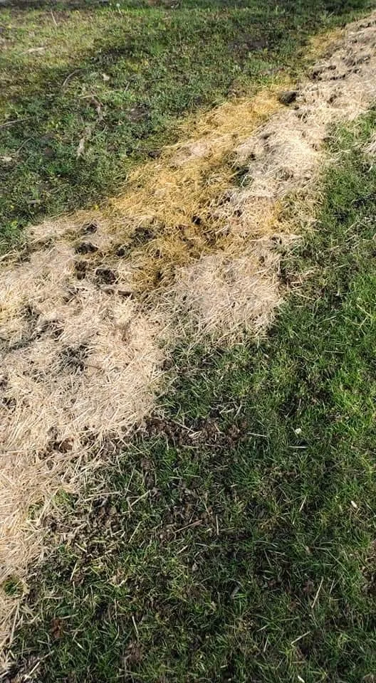 Local landscape design in Lenexa, KS - Platinum Outdoor Concepts