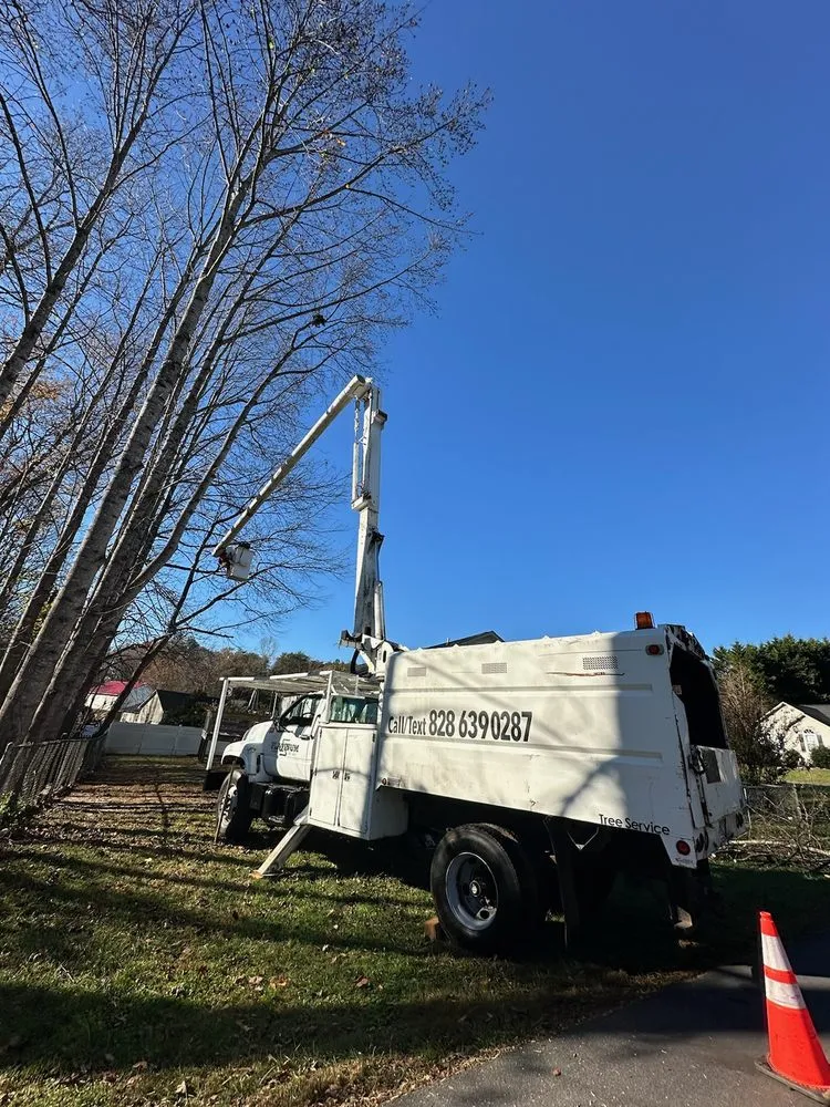 Local yard maintenance experts serving Conover, NC - Platinum Outdoor Services