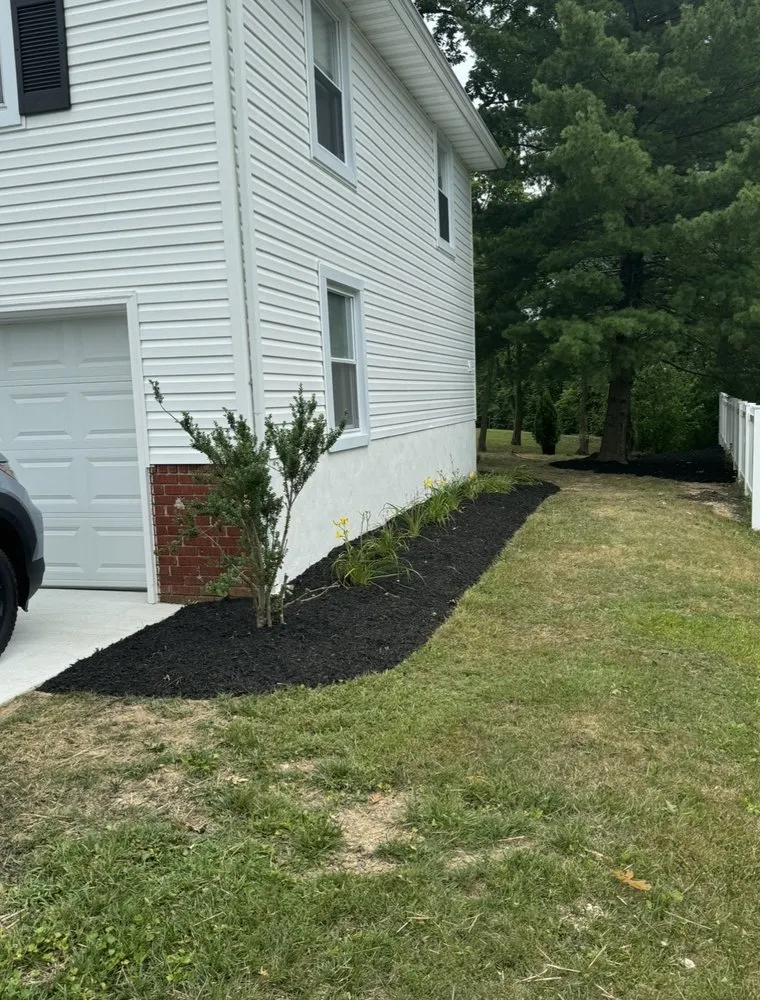 Professional landscaping services in Baltimore, MD by Platinum Pavers and Landscaping