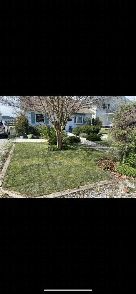 Top-rated outdoor landscaping for outdoor upgrades in Baltimore, MD by Platinum Pavers and Landscaping