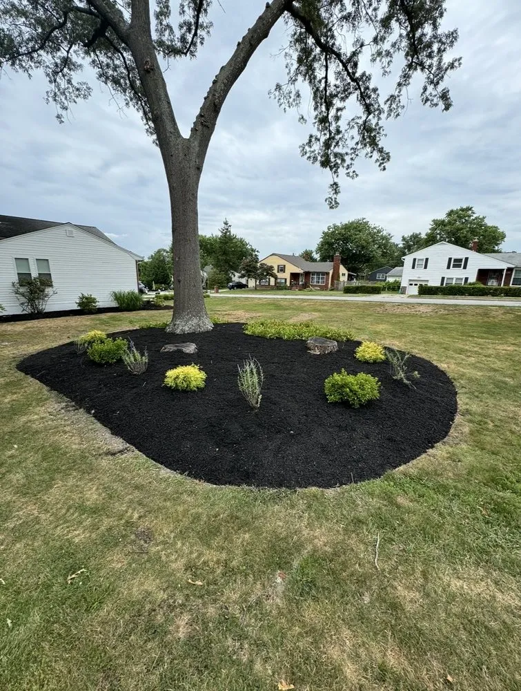 Affordable yard maintenance for homes across Baltimore, MD - Platinum Pavers and Landscaping