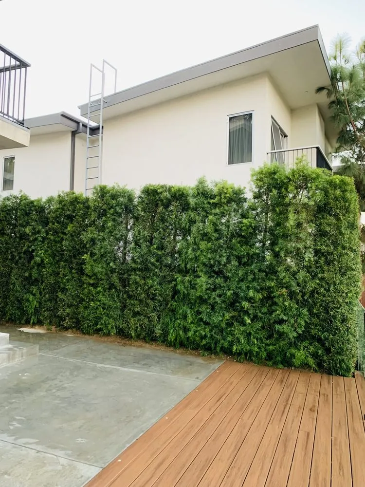 Local outdoor landscaping in Pasadena, CA - Platinum Paving & Landscaping