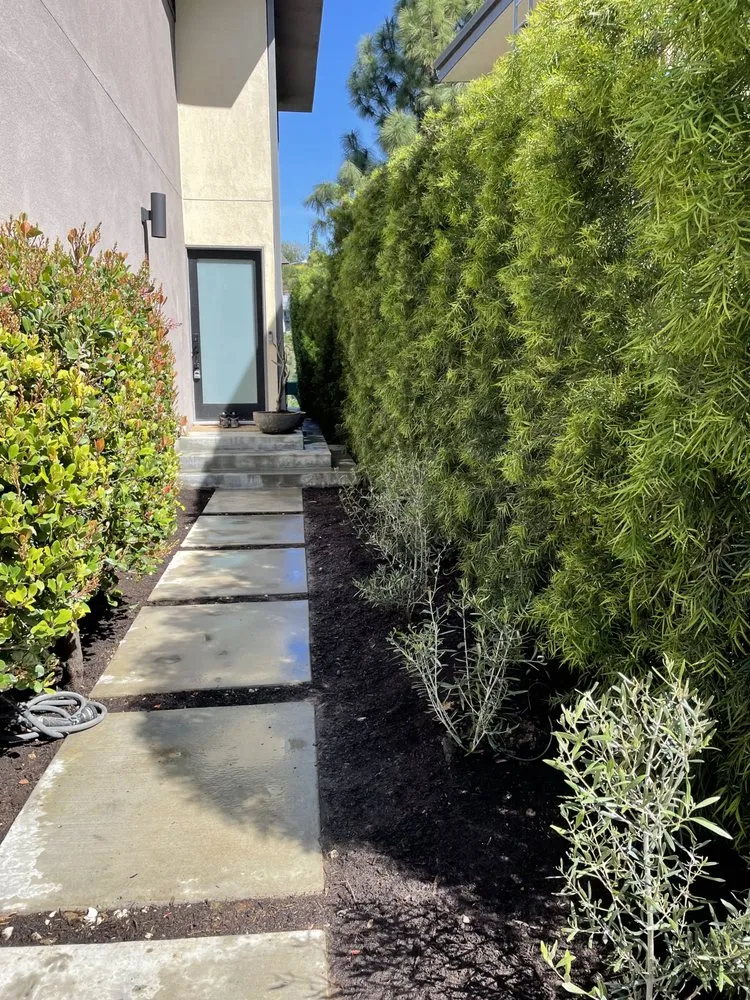 Trusted landscape installation in Pasadena, CA - Platinum Paving & Landscaping