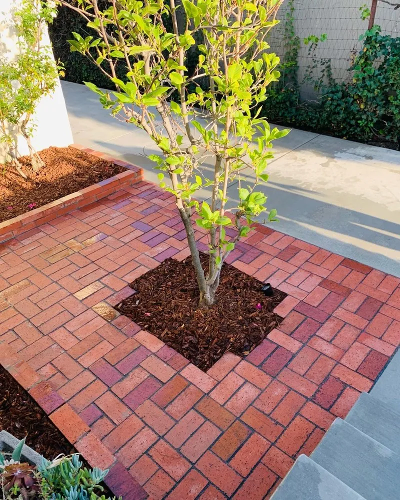 Affordable yard maintenance in Pasadena, CA by Platinum Paving & Landscaping