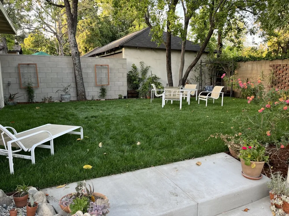 Top-rated lawn care service experts serving Pasadena, CA - Platinum Paving & Landscaping