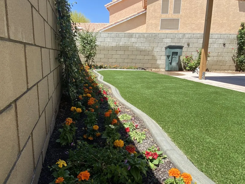 Reliable yard maintenance experts serving California City, CA - Platinum Pines Tree service