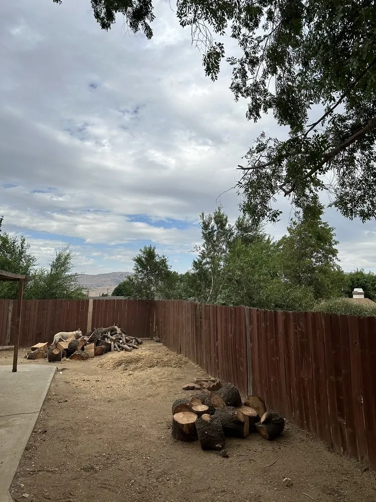 Expert lawn care service in California City, CA - Platinum Pines Tree service