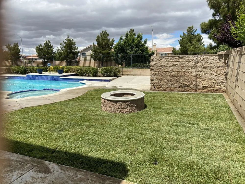 Reliable landscape installation near you in California City, CA by Platinum Pines Tree service