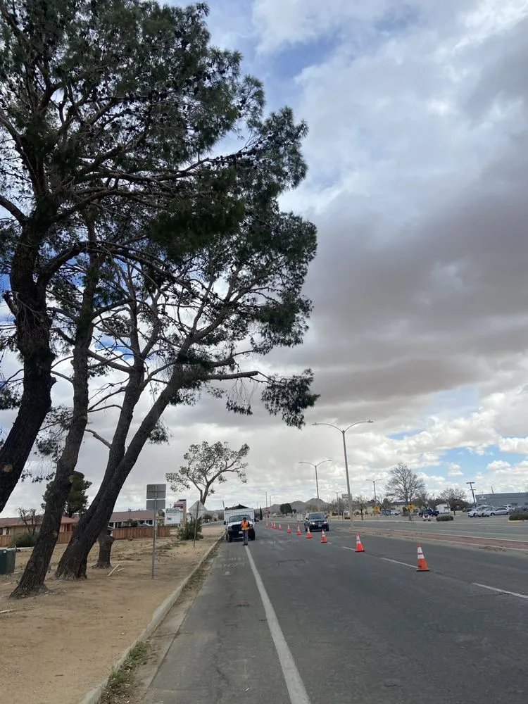 Top-rated garden landscaping for outdoor upgrades in California City, CA by Platinum Pines Tree service