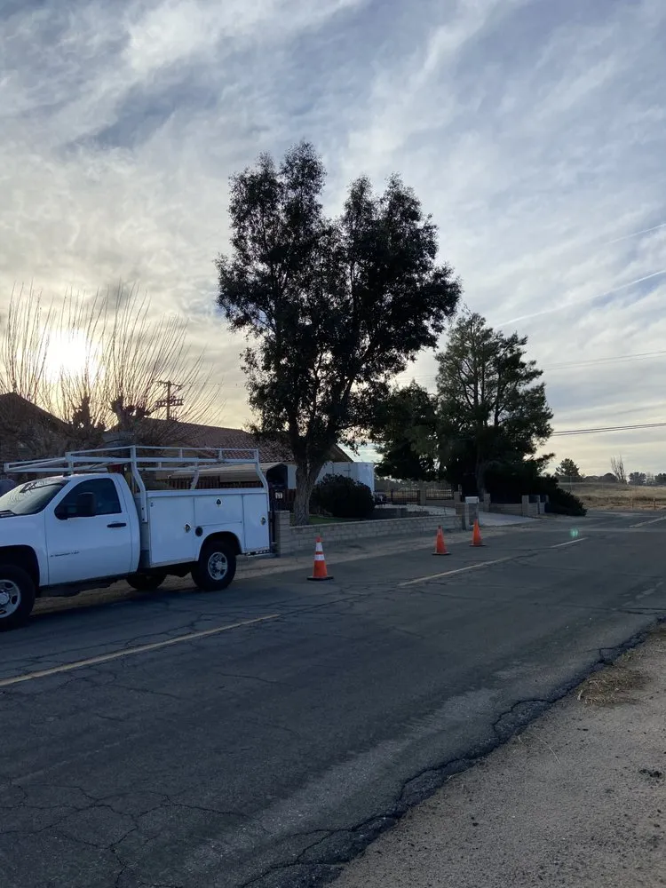 Affordable yard maintenance experts serving California City, CA - Platinum Pines Tree service