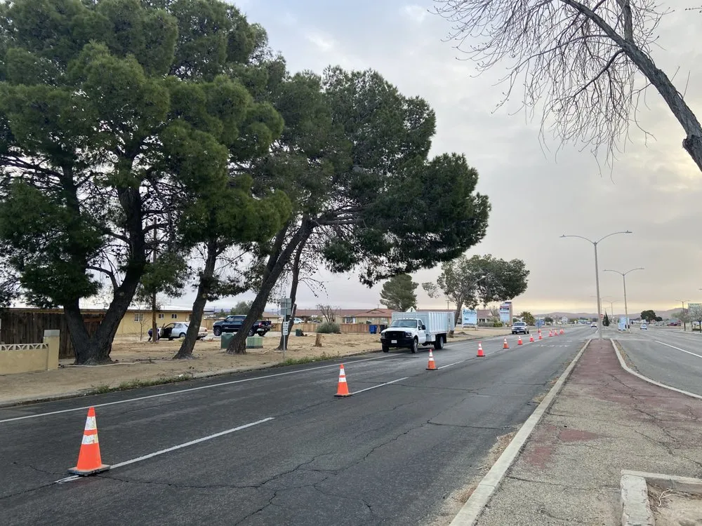 Reliable yard maintenance near you across California City, CA - Platinum Pines Tree service