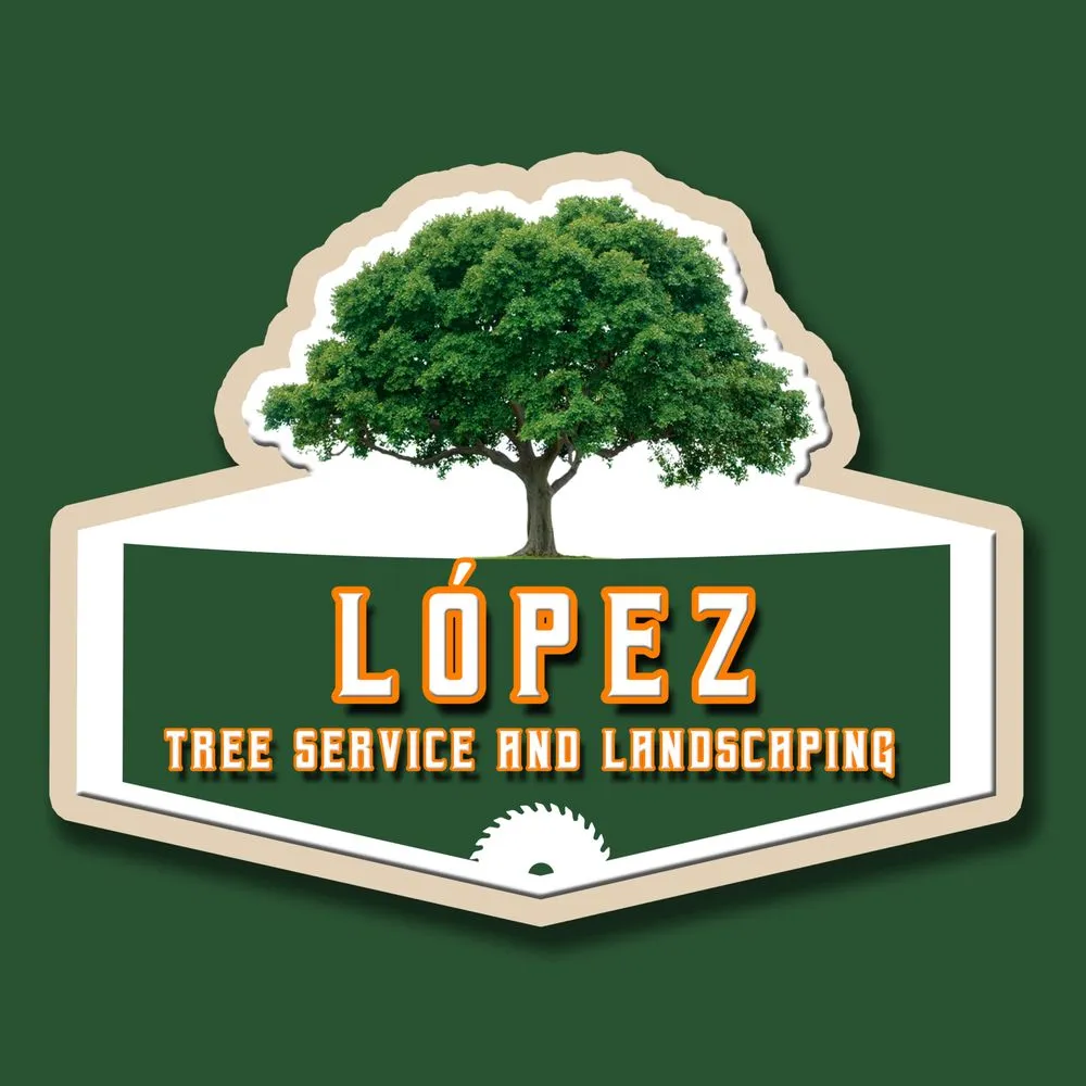 Custom residential landscaping near you across California City, CA - Platinum Pines Tree service