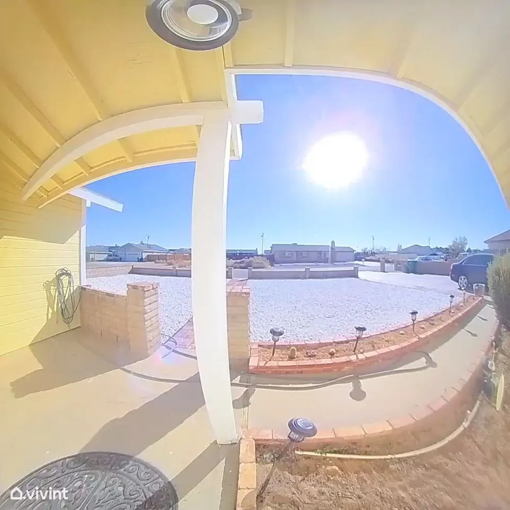 Affordable yard maintenance in California City, CA - Platinum Pines Tree service