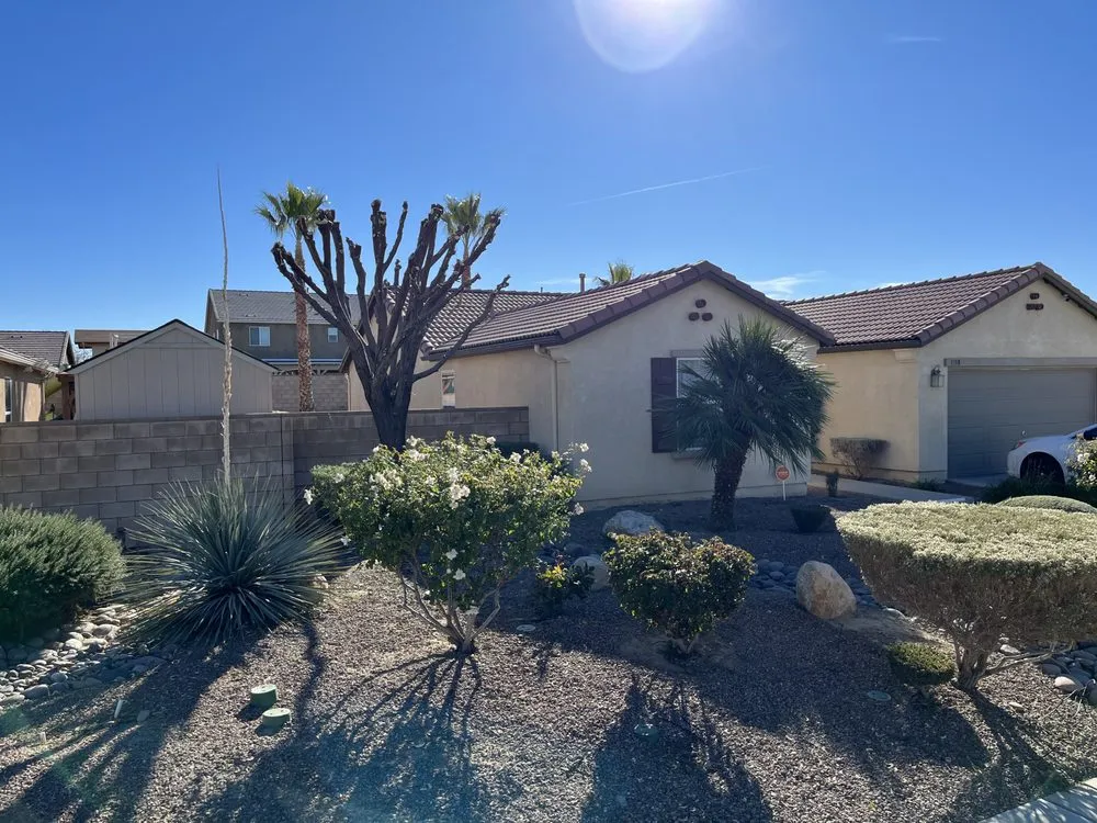 Top-rated residential landscaping experts serving California City, CA - Platinum Pines Tree service