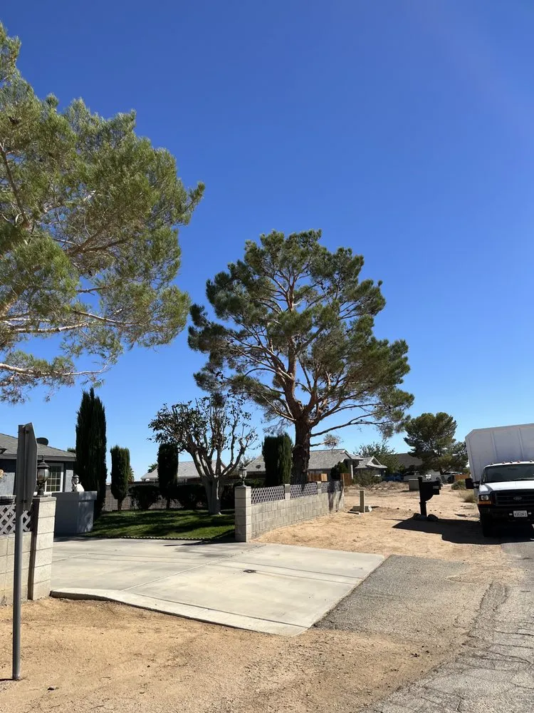 Local lawn mowing service for residential properties in California City, CA by Platinum Pines Tree service