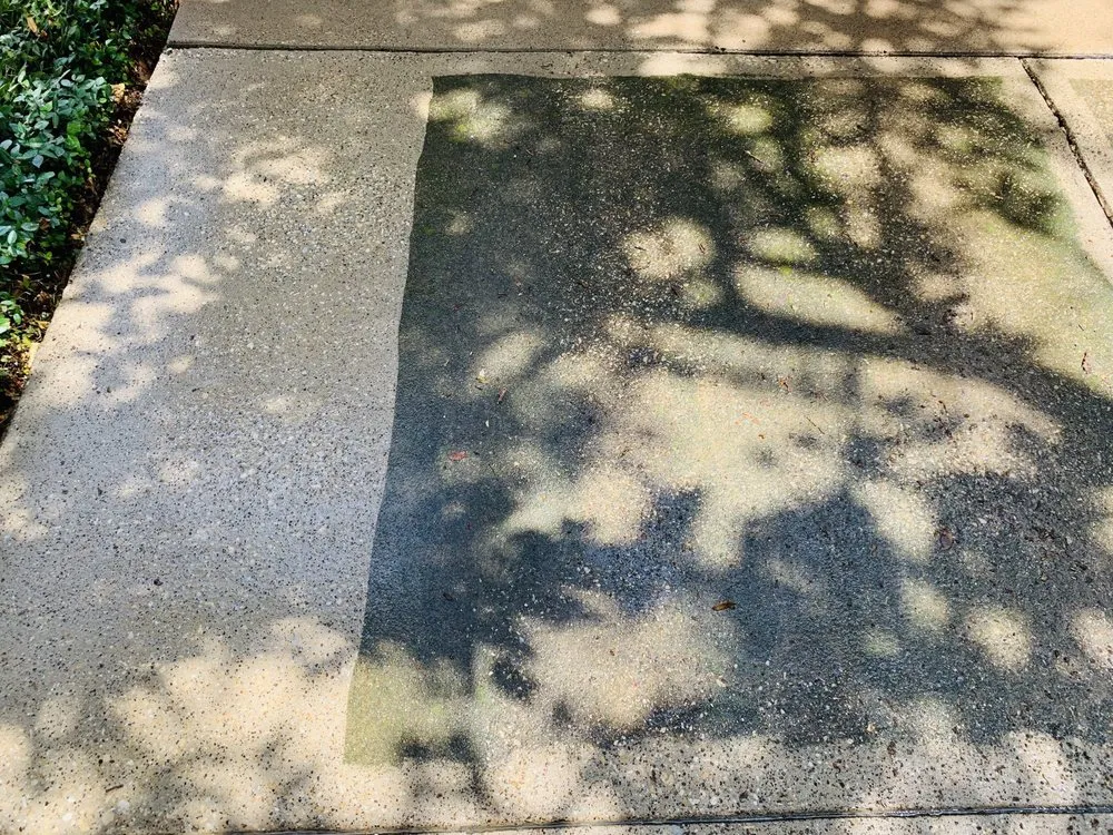 Custom garden landscaping for year-round maintenance across Dallas, TX - Platinum Plus Power Washing & Landscaping