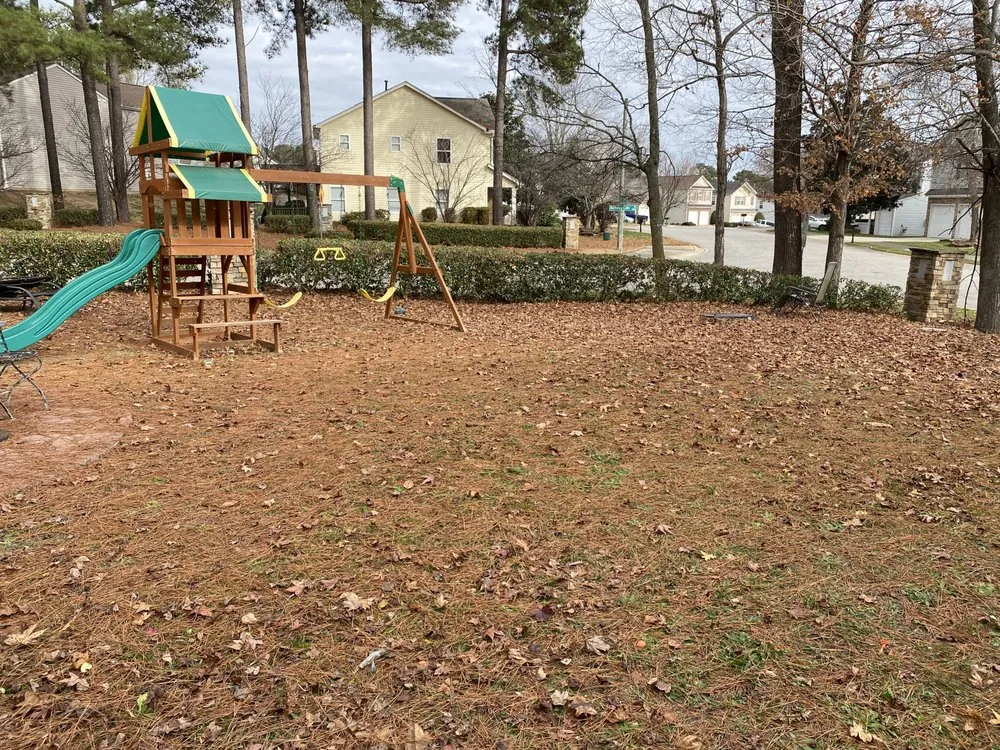 Reliable landscape installation in Raleigh, NC - Platinum Pressure Pros