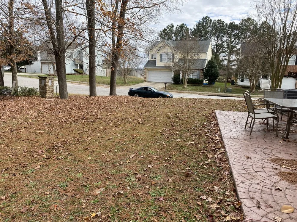 Reliable lawn mowing service experts serving Raleigh, NC - Platinum Pressure Pros