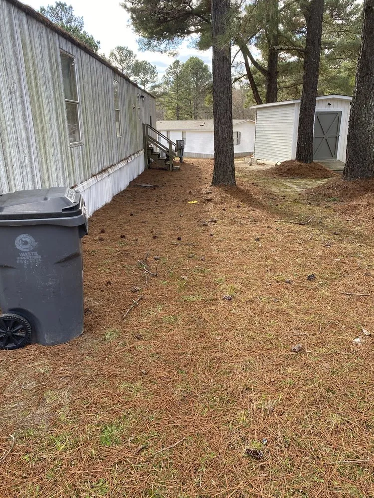 Reliable landscape installation in Raleigh, NC - Platinum Pressure Pros