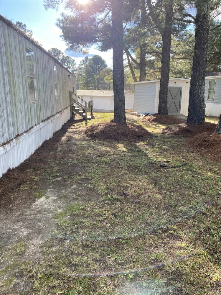 Local outdoor landscaping in Raleigh, NC by Platinum Pressure Pros