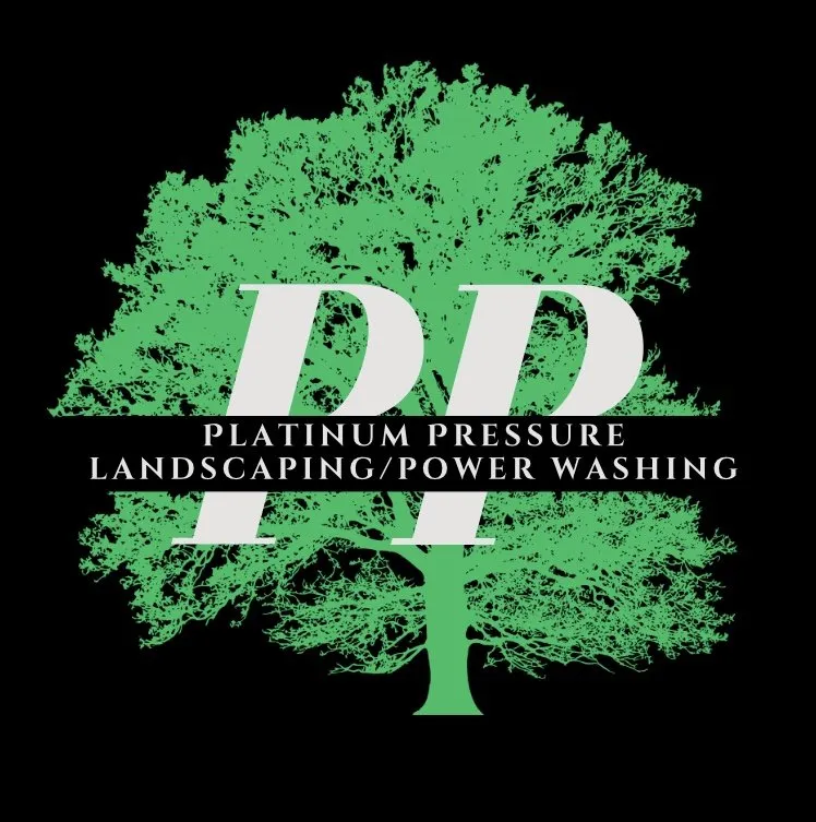 Professional landscape design in Raleigh, NC by Platinum Pressure Pros