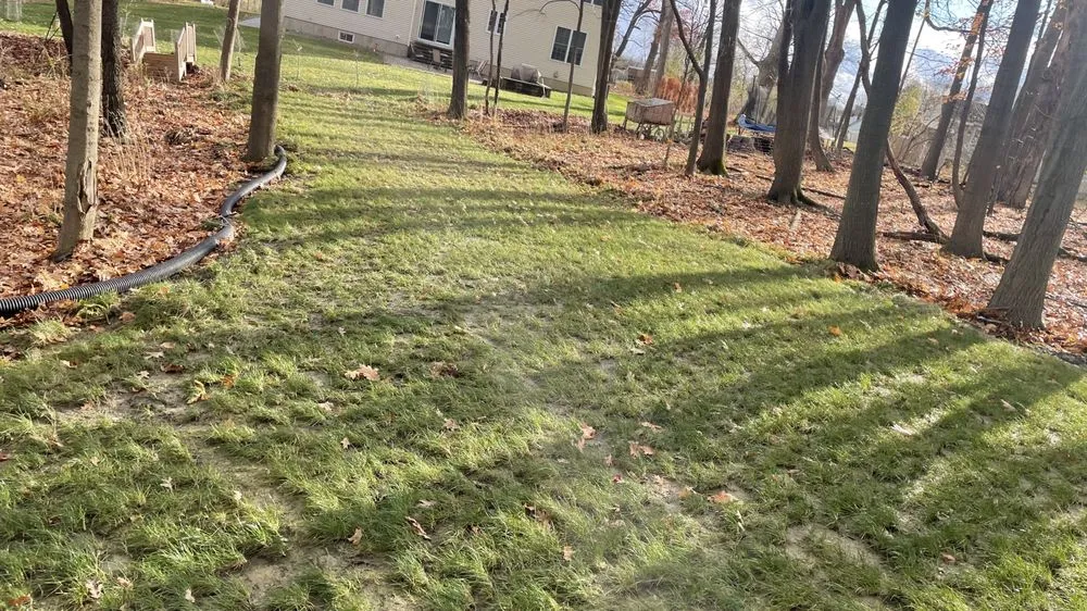 Affordable outdoor landscaping near you across Troy, NY - Platinum Property Services