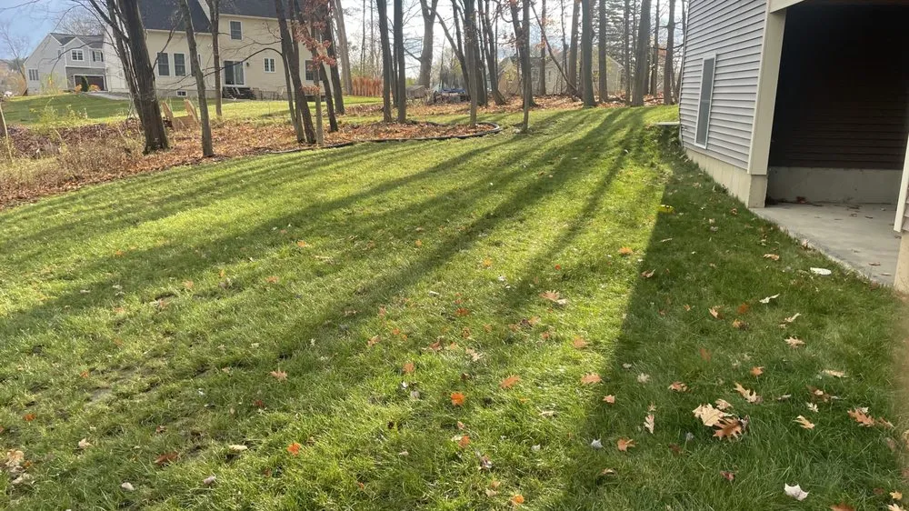 Trusted lawn mowing service in Troy, NY by Platinum Property Services