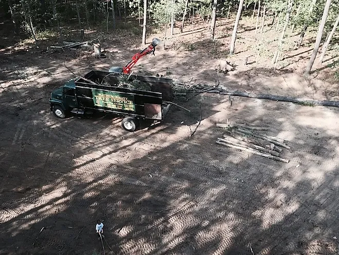 Expert garden landscaping in Lakewood, NJ by Platinum Quality Tree Experts