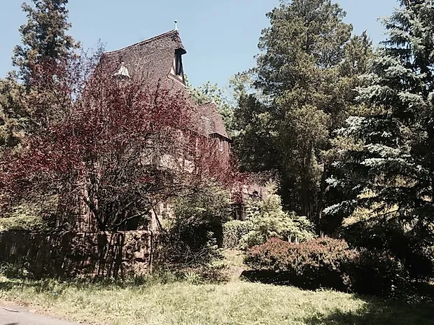 Local yard maintenance near you in Lakewood, NJ by Platinum Quality Tree Experts