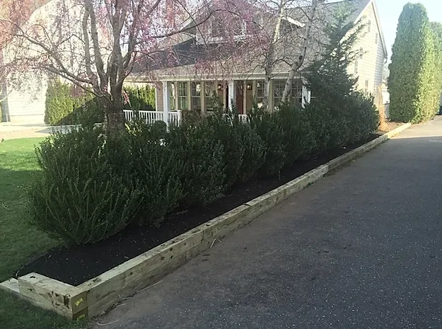 Professional yard cleanup service experts serving Lakewood, NJ - Platinum Quality Tree Experts