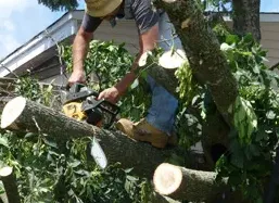 Professional lawn care service near you across Lakewood, NJ - Platinum Quality Tree Experts