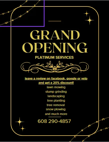 Trusted yard cleanup service in Janesville, WI - Platinum Service's