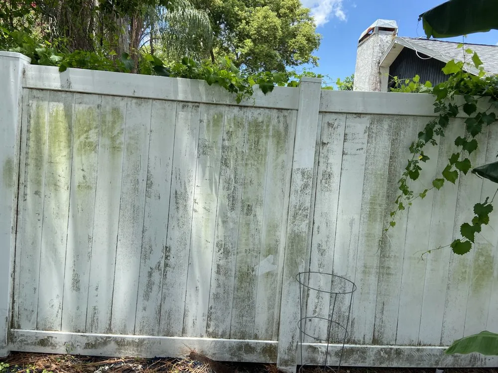 Trusted landscape design in Spring Hill, FL - Platinum Services