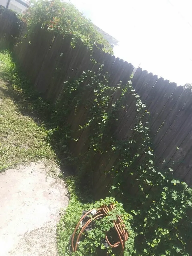 Reliable landscape design in Spring Hill, FL by Platinum Services