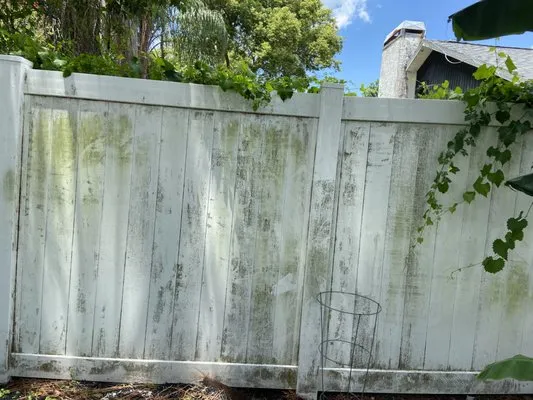 Platinum Services Logo