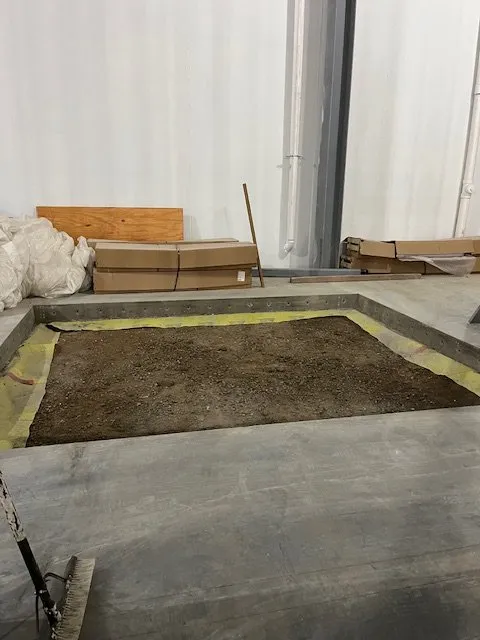 Expert lawn care service for beautiful yards in Fort Collins, CO by Platinum Trades