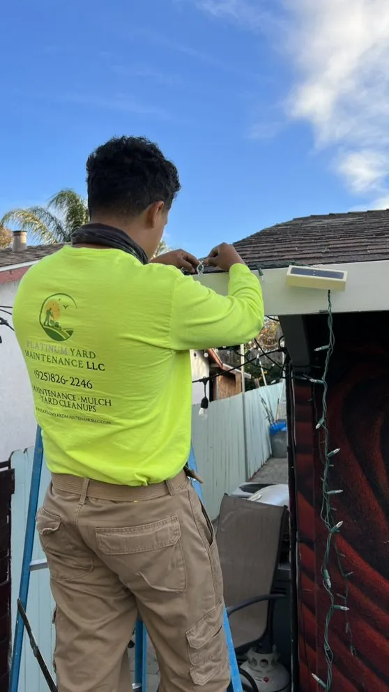 Trusted residential landscaping in Brentwood, CA by Platinum Yard Maintenance