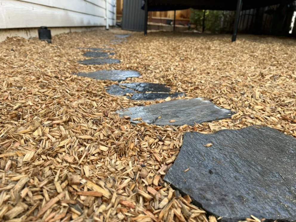 Expert landscaping services in Brentwood, CA - Platinum Yard Maintenance