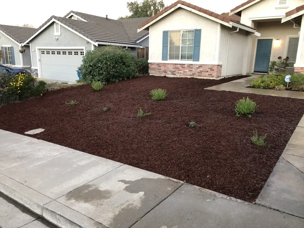 Top-rated landscape installation with custom design in Brentwood, CA by Platinum Yard Maintenance