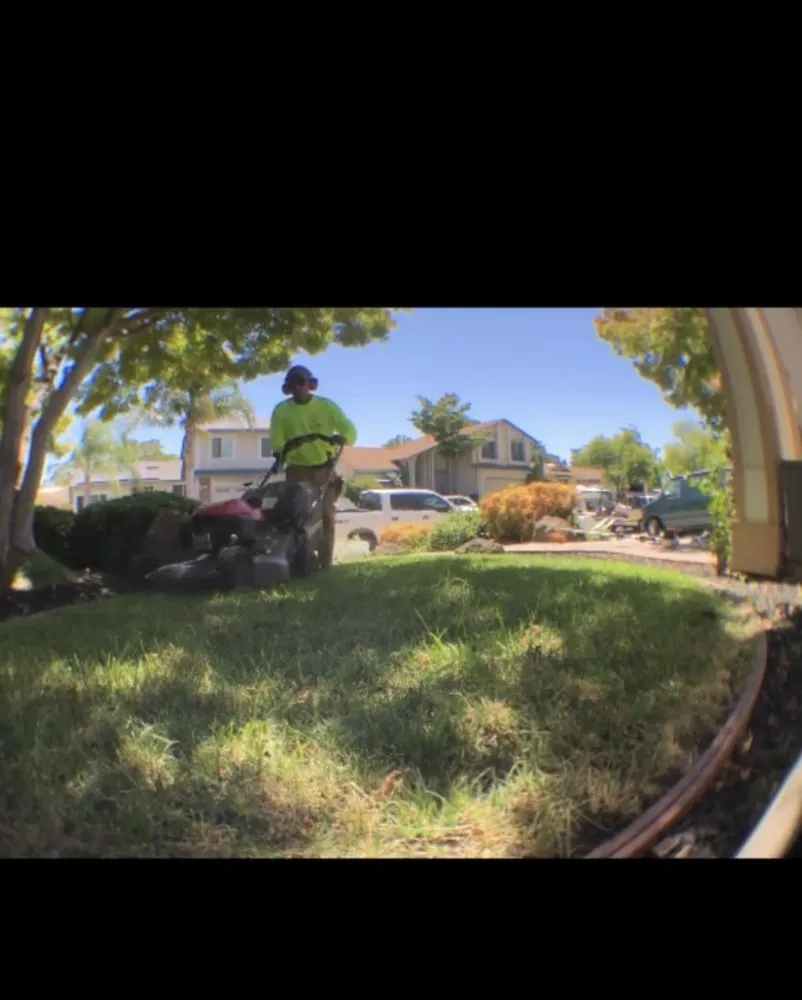 Professional landscape installation in Brentwood, CA - Platinum Yard Maintenance