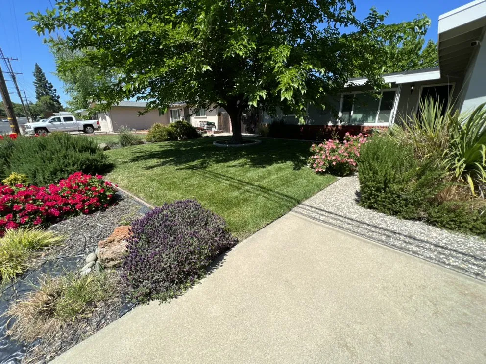 Trusted yard maintenance experts serving Brentwood, CA - Platinum Yard Maintenance