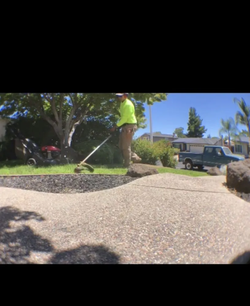 Trusted yard maintenance near you across Brentwood, CA - Platinum Yard Maintenance