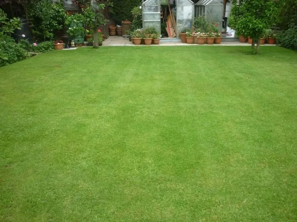 Affordable landscape installation for residential properties across Duluth, MN - Platinum Yard Work