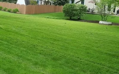 Reliable yard maintenance near you across Duluth, MN - Platinum Yard Work
