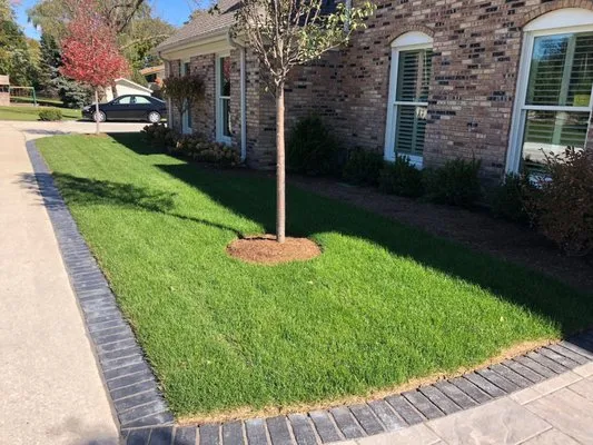 Platinum Yard Work Logo